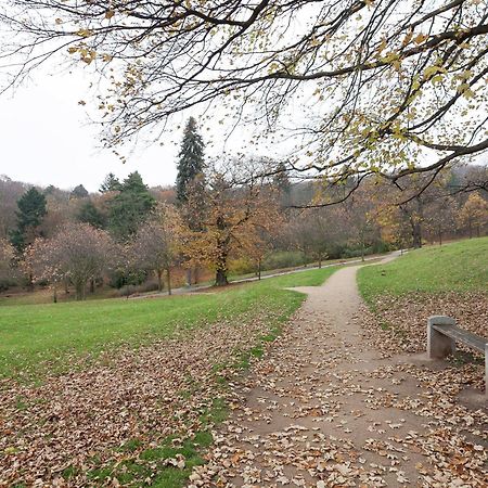 Beautiful Apartment In D Rnthal Near The Forest Voigtsdorf Exteriér fotografie
